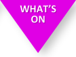 What's On